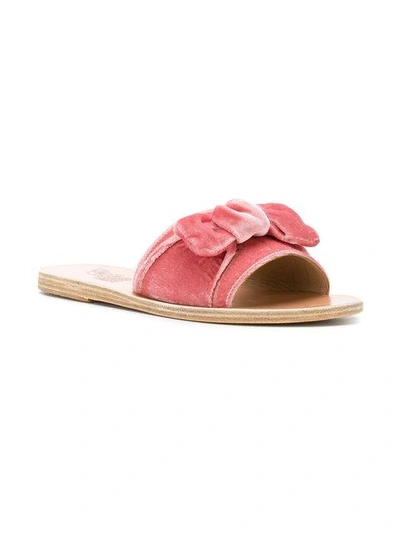 Shop Ancient Greek Sandals Taygete Bow Slidder Sandals In Pink