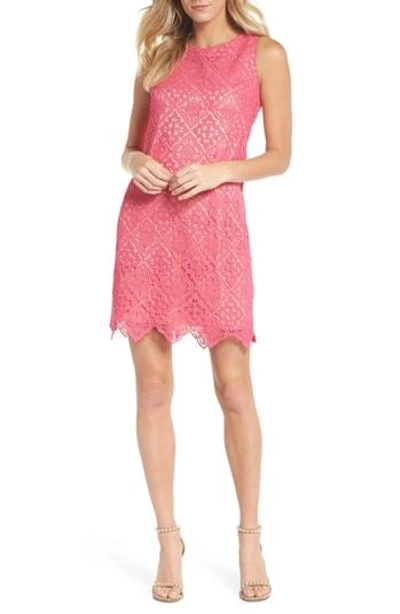 Shop Eliza J Sleeveless Lace Shift Dress In Hot Pink