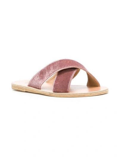 Shop Ancient Greek Sandals Crossover Velvet Sandals