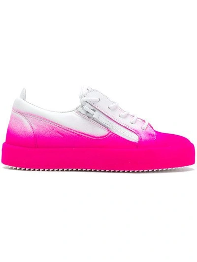 Shop Giuseppe Zanotti Design May London Bicolour Sneakers - Pink