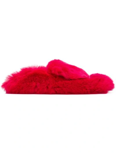 Shop Sergio Rossi Fur Mules In Pink