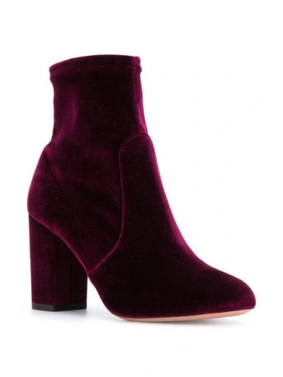 Shop Aquazzura Brooklyn Velvet Ankle Boots - Pink