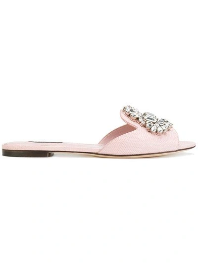 Shop Dolce & Gabbana Bianca Embellished Sandals - Pink