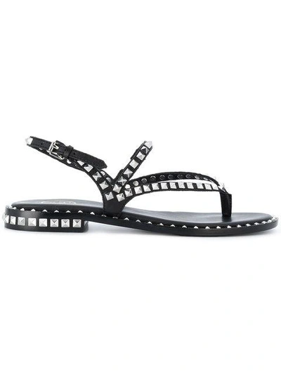 Shop Ash Peps Studded Sandals In Black