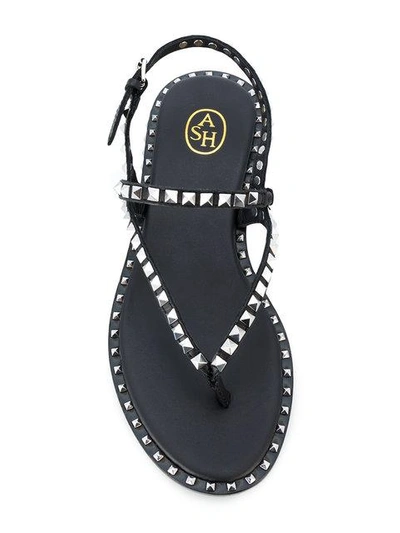 Shop Ash Peps Studded Sandals In Black