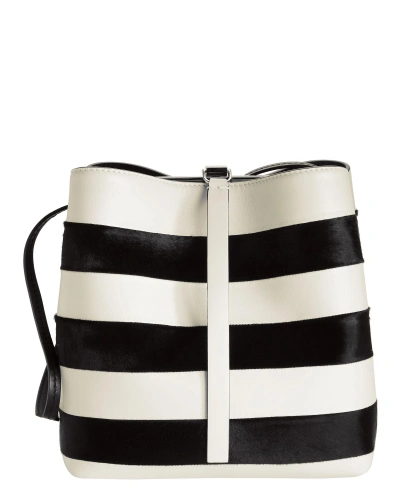 Shop Proenza Schouler Framed Stripe Shoulder Bag