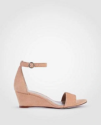 Shop Ann Taylor Giuliana Suede Wedge Sandals In Toasted Sesame