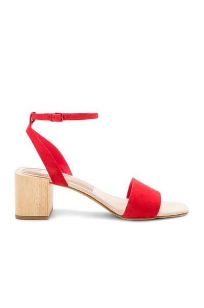Shop Dolce Vita Zarita Sandal In Red