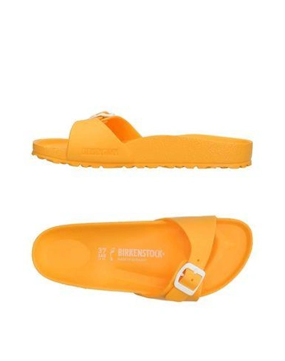 Shop Birkenstock Sandals In Apricot