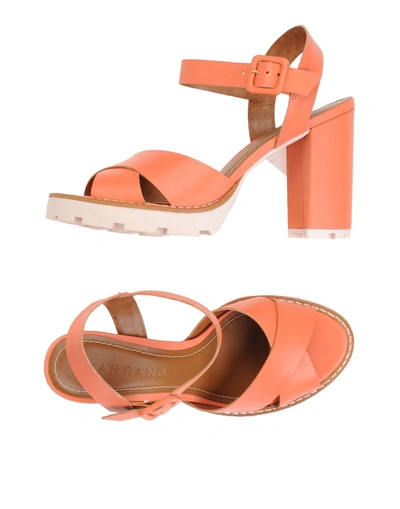 Shop Carrano Sandals In Coral