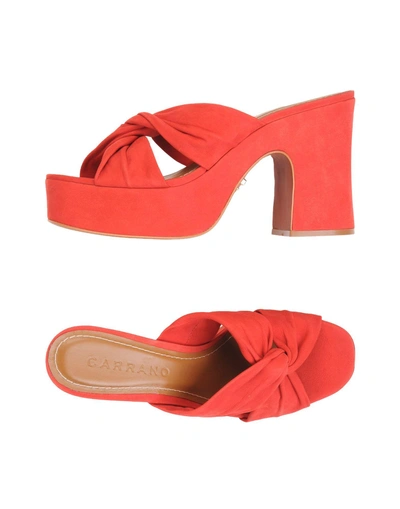 Shop Carrano Sandalen In Red
