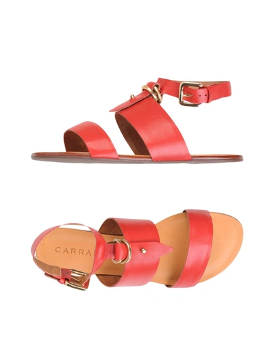 Shop Carrano Sandals In Red