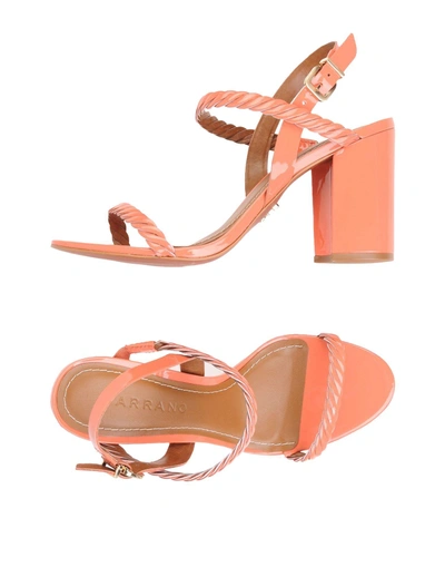 Shop Carrano Sandals In Coral