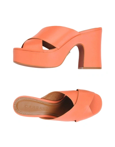 Shop Carrano Sandals In Coral
