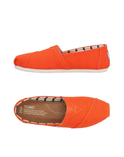 Shop Toms Sneakers In Orange