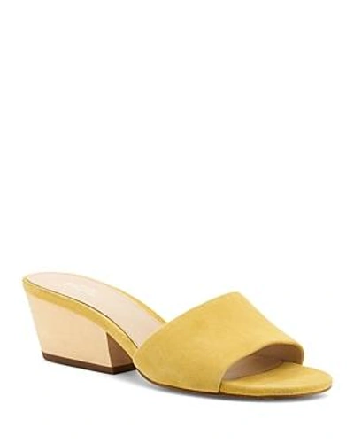 Shop Botkier Women's Carlie Suede Mid Heel Slide Sandals In Pineapple