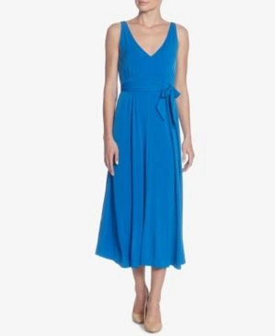Shop Catherine Malandrino Catherine  Pleated Midi Dress In Victoria Blue