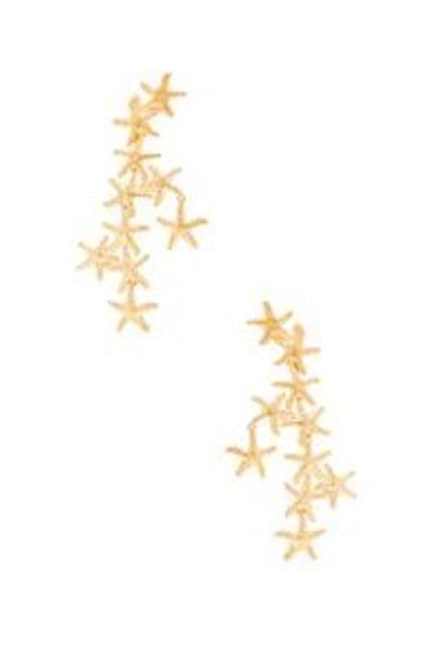 Shop Christie Nicolaides Salacia Earrings In Metallic Gold