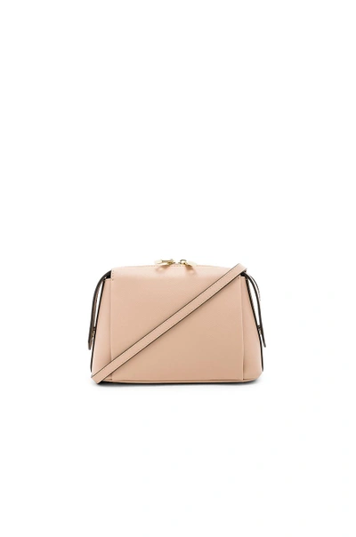 Shop The Daily Edited Structured Crossbody Bag In Nude