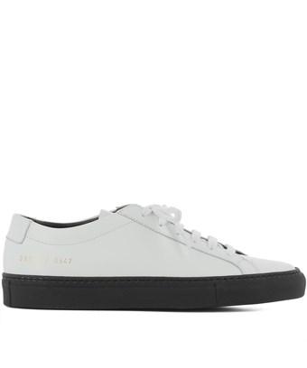 common projects white womens