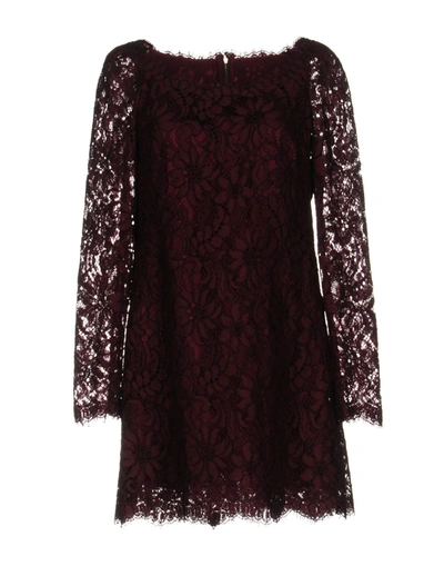 Shop Dolce & Gabbana Short Dresses In Dark Purple
