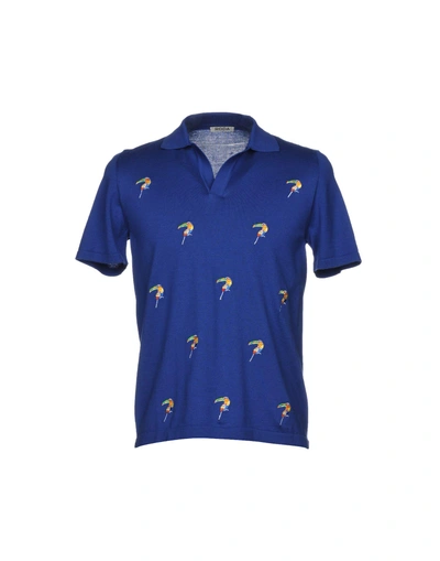 Shop Roda Polo Shirts In Blue