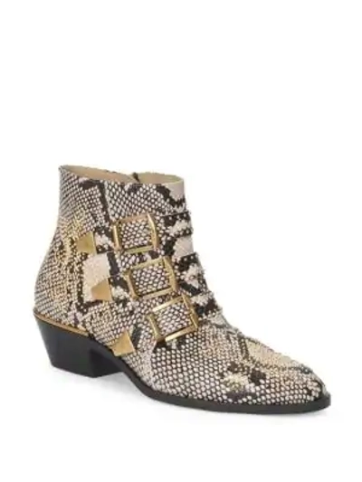 Shop Chloé Susanna Python Leather Ankle Boots In Multi
