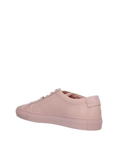 Shop Common Projects Sneakers In Pink