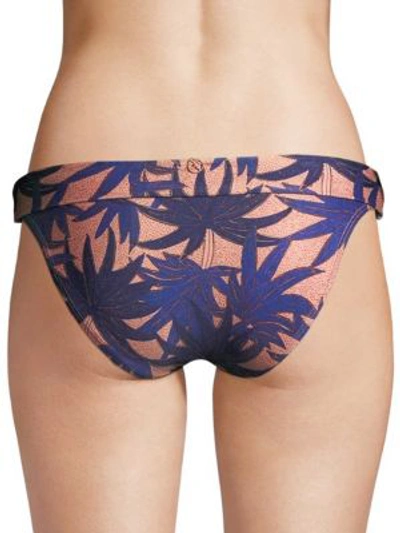 Shop Vix By Paula Hermanny Paradise Bikini Bottom