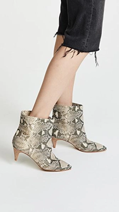 Dolce Vita Dee Dee Booties In Snake Print