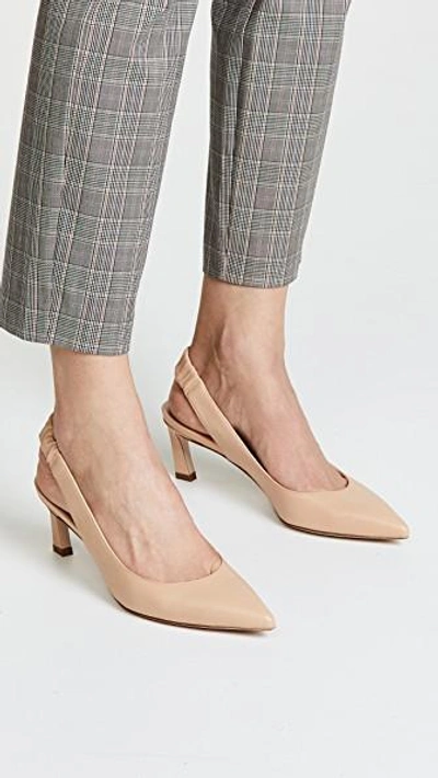 Shop Stuart Weitzman Hayday Slingback Pumps In Blush