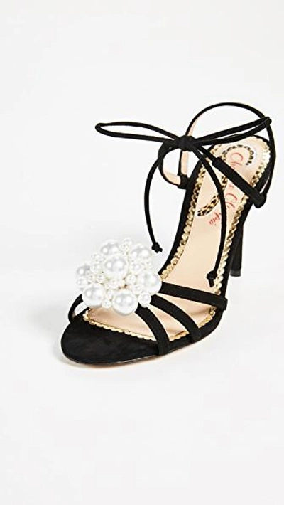 Shop Charlotte Olympia Tallulah Strappy Pumps In Black