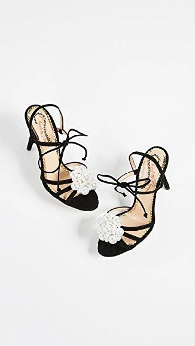 Shop Charlotte Olympia Tallulah Strappy Pumps In Black