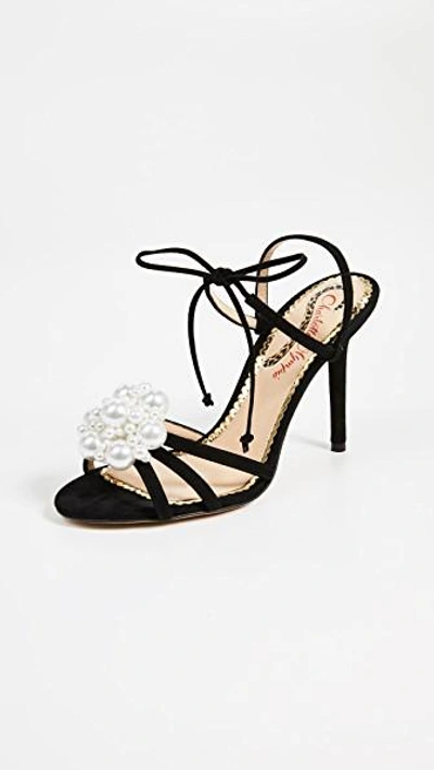 Shop Charlotte Olympia Tallulah Strappy Pumps In Black