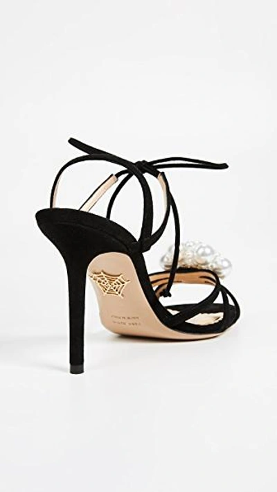 Shop Charlotte Olympia Tallulah Strappy Pumps In Black