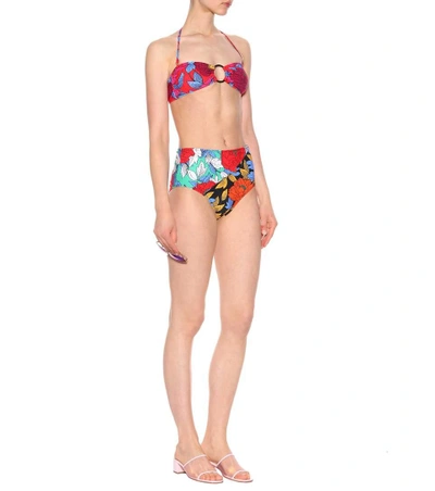 Shop Diane Von Furstenberg Floral-printed Bikini Bottoms