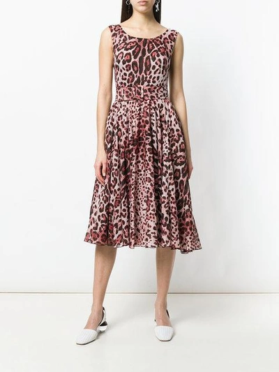 leopard print belted dress