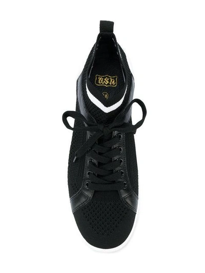 Shop Ash Nolita Sneakers