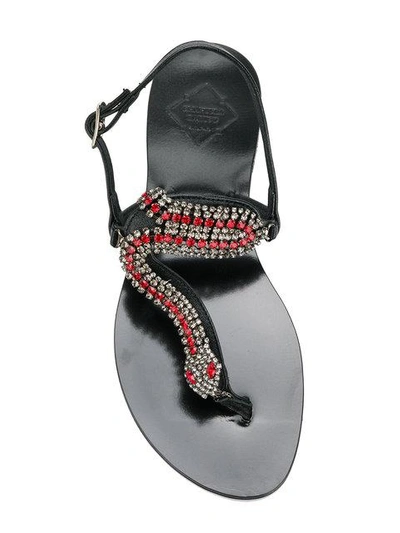 Shop Emanuela Caruso Embellished Snake Sandals