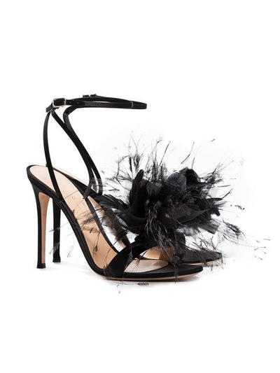 Shop Gianvito Rossi Black Feather Flower 105 Sandals