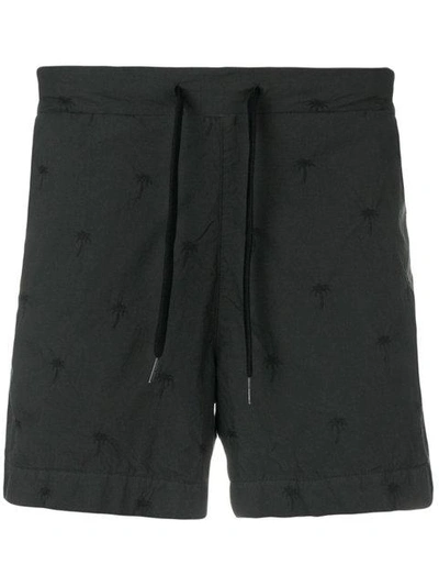 Shop Tomas Maier Riviera Cotton Shorts - Green