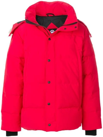 Shop Canada Goose Short Padded Coat - Red