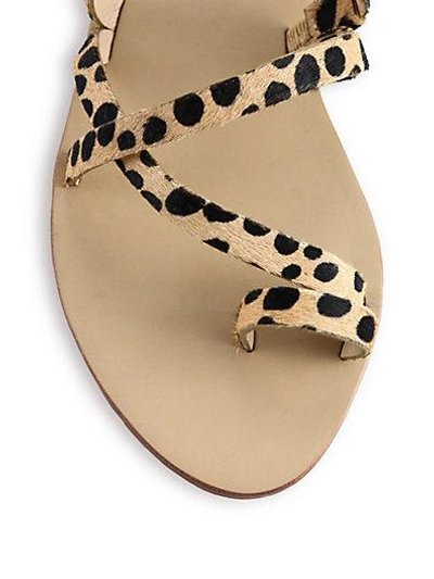 Shop Loeffler Randall Sarie Strappy Cheetah-printed Calf Hair Sandals