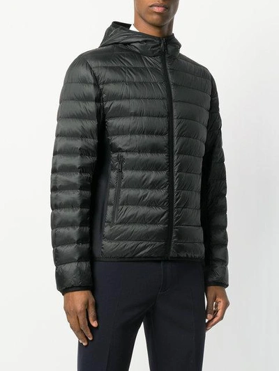 Shop Prada Hooded Padded Jacket In F0002