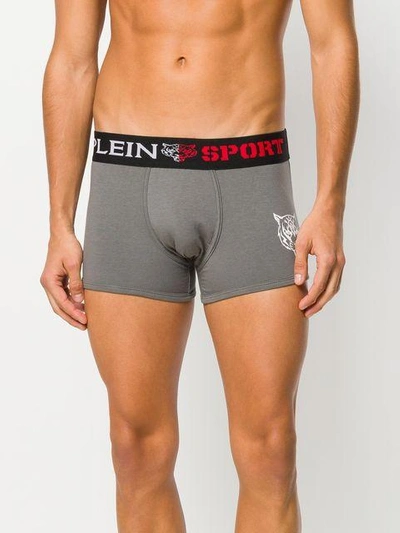 Shop Plein Sport Branded Boxer Briefs - Grey