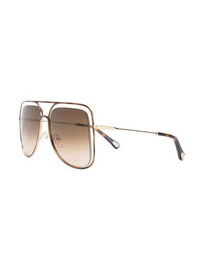 Shop Chloé Poppy Sunglasses In Brown