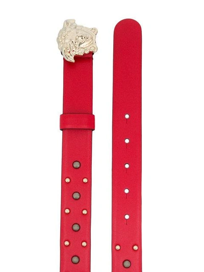 Shop Versace Studded Medusa Belt In Red