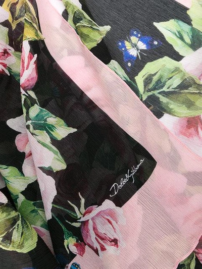 Shop Dolce & Gabbana Rose Print Scarf