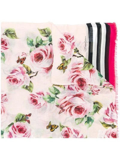 Shop Dolce & Gabbana Floral Print Scarf
