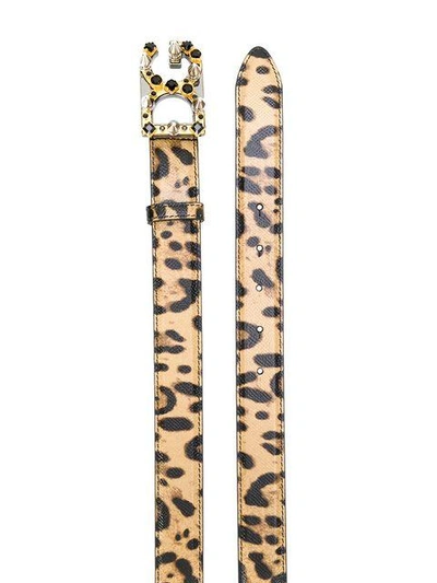 Shop Dolce & Gabbana Leopard Print Logo Buckle Belt In Ha93m